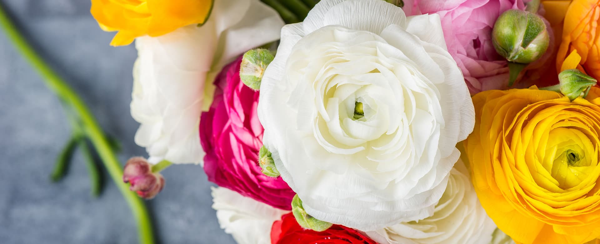 Classic romance wedding style