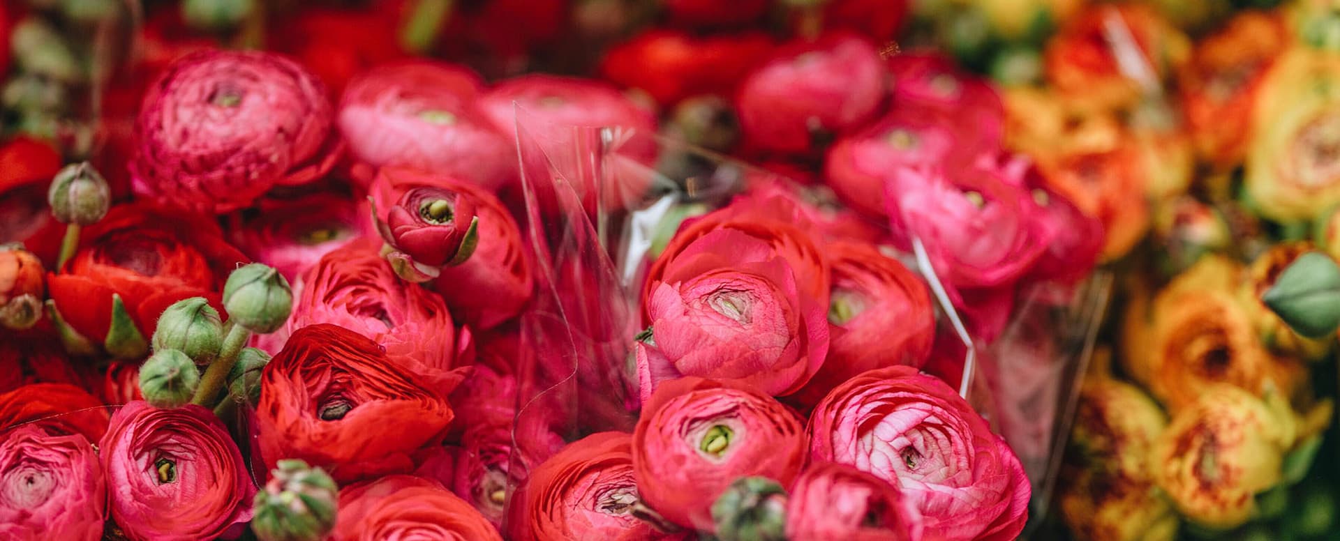 Spring wedding floral arrangement