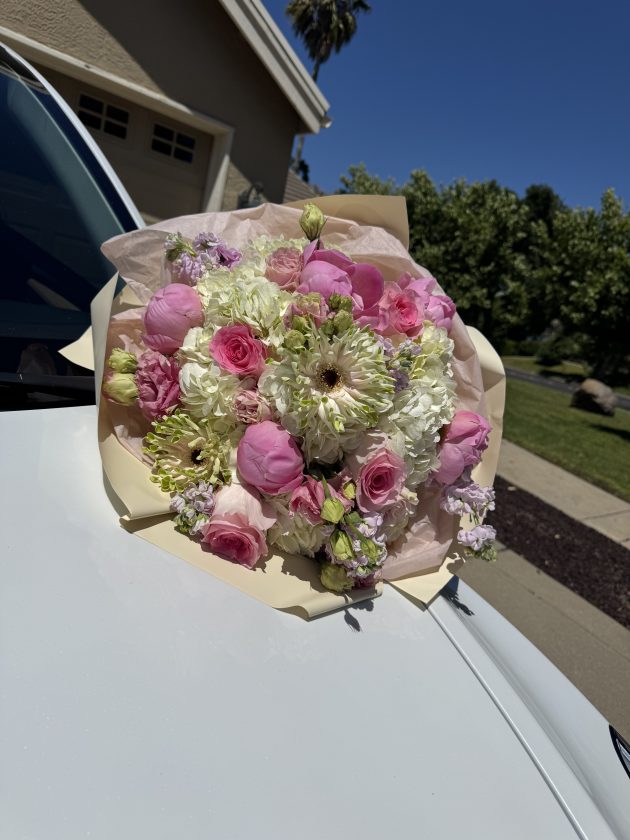 Spring in the air - Image 4